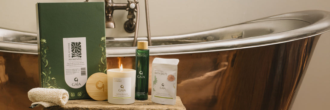 GAIA's Christmas Traditions