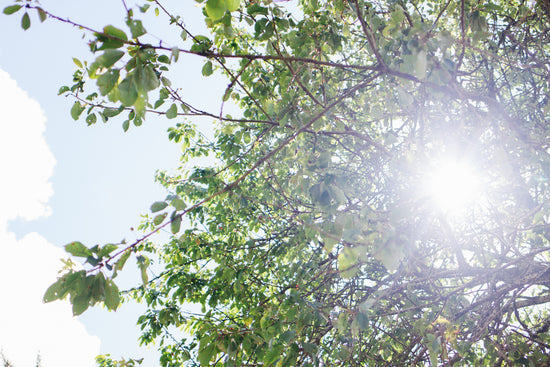 Spring into happiness with positivity and the rose quartz crystal.