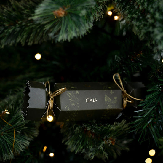 The Christmas Cracker | Lip Balm