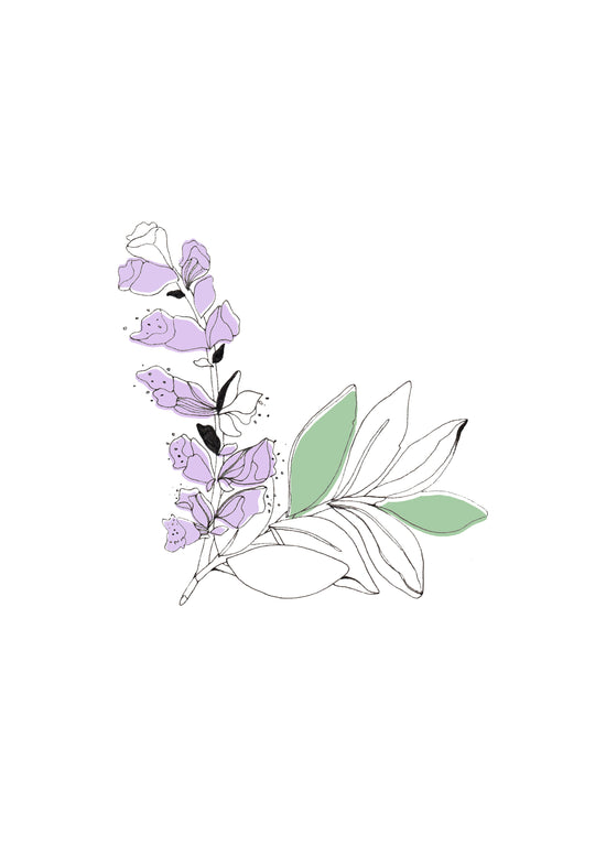 Clary Sage