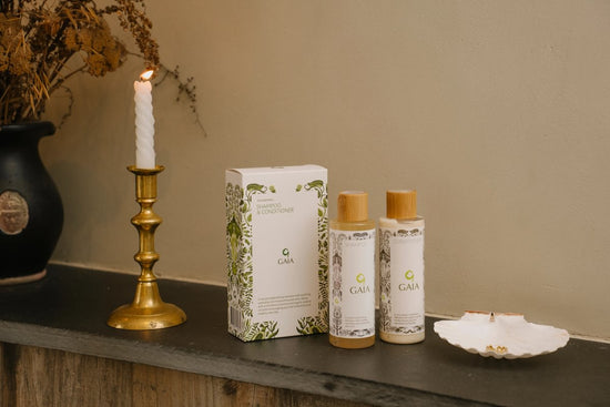 Hair Care Gift Set