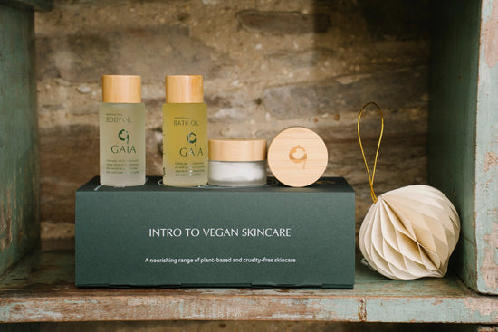 Introduction to Vegan Skincare
