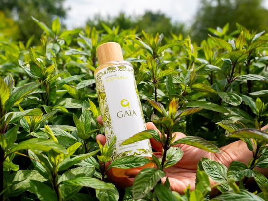 Awakening Body Wash