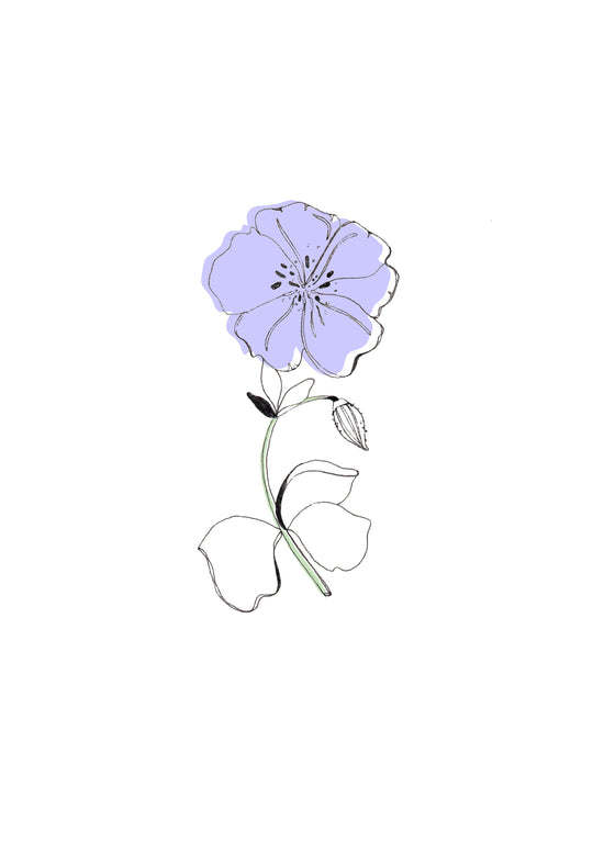 Geranium