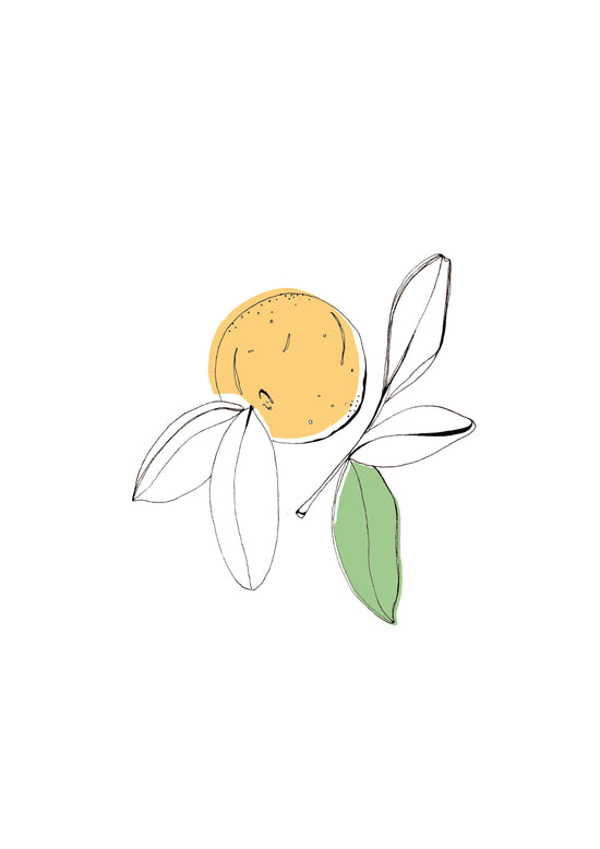 Petitgrain